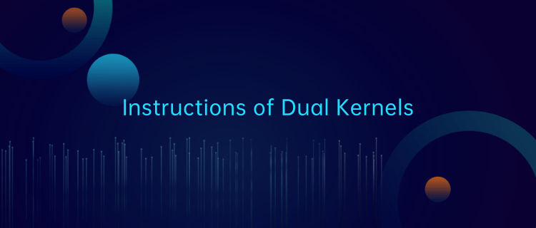 deepin -- Instructions of Dual Kernels