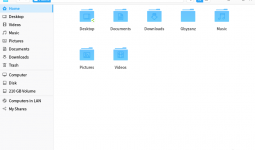 deepin-filemanager2