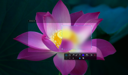 deepin-screenshot1