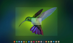 deepin-screen-recorder3_en