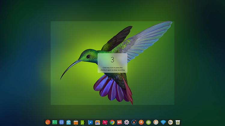 deepin-screen-recorder3_en