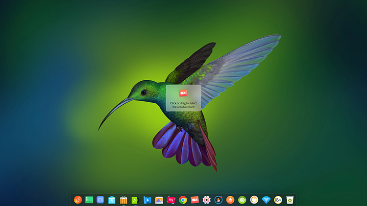 deepin-screen-recorder1_en