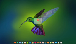 deepin-screen-recorder1_en