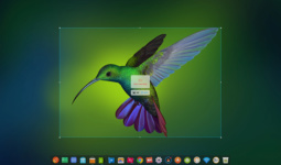 deepin-screen-recorder2_en