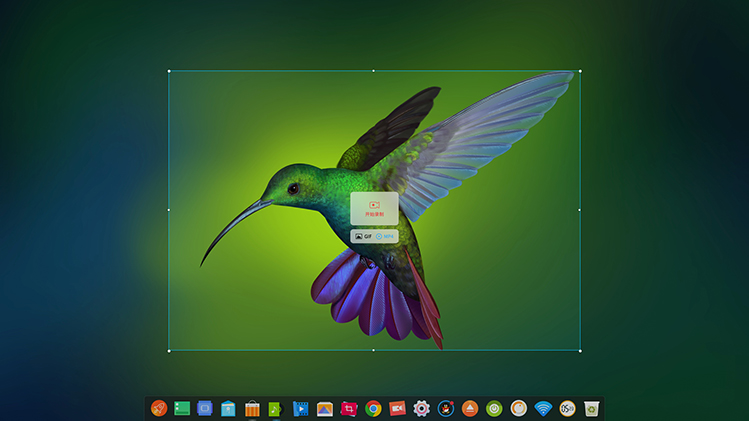 deepin-screen-recorder2_zh