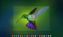 deepin-screen-recorder3_zh