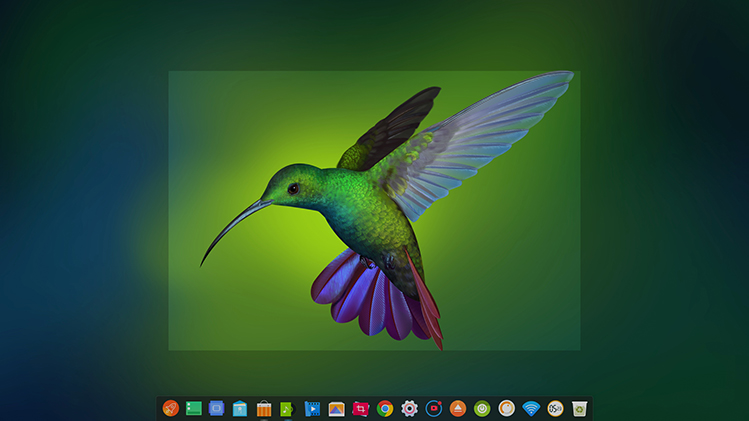 deepin-screen-recorder4