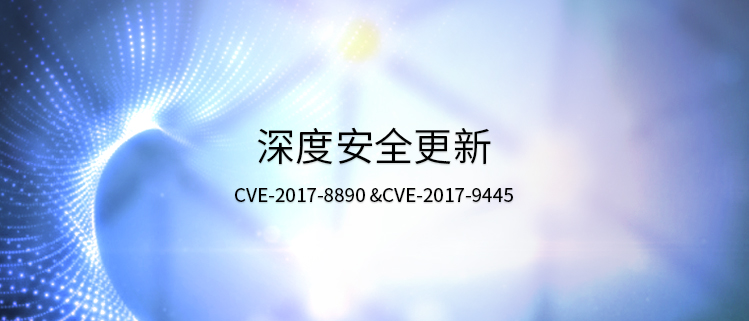 深度安全更新（CVE-2017-8890 &CVE-2017-9445）