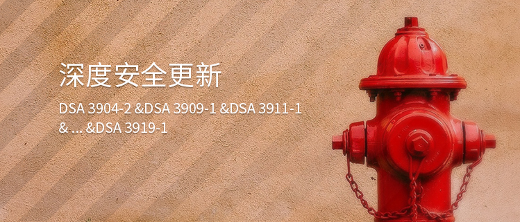 深度安全更新（DSA 3904-2 &DSA 3909-1 &DSA 3911-1& ...&DSA 3919-1）